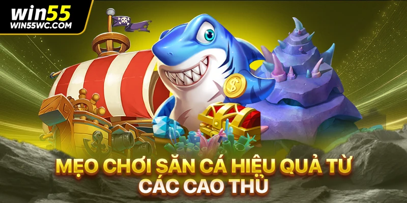 Mẹo chơi săn cá hiệu quả từ các cao thủ