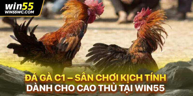 Đá Gà C1 – Sân Chơi Kịch Tính Dành Cho Cao Thủ Tại win55